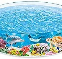 SNAP SET POOL WITHOUT AIR (8FTX18”)
