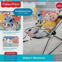 Fisher Price GDP59 Soothing and Fun Baby Bouncer